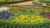 Flowershow_Slider2